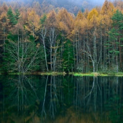 Mishaka pond in autumn