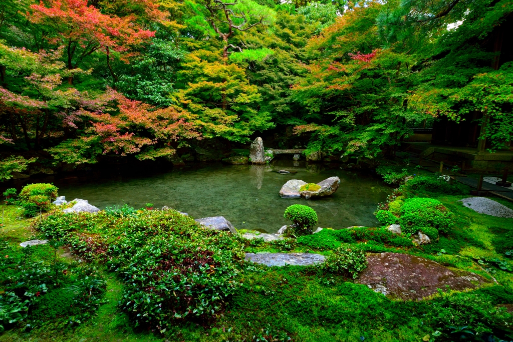 色づきはじめ