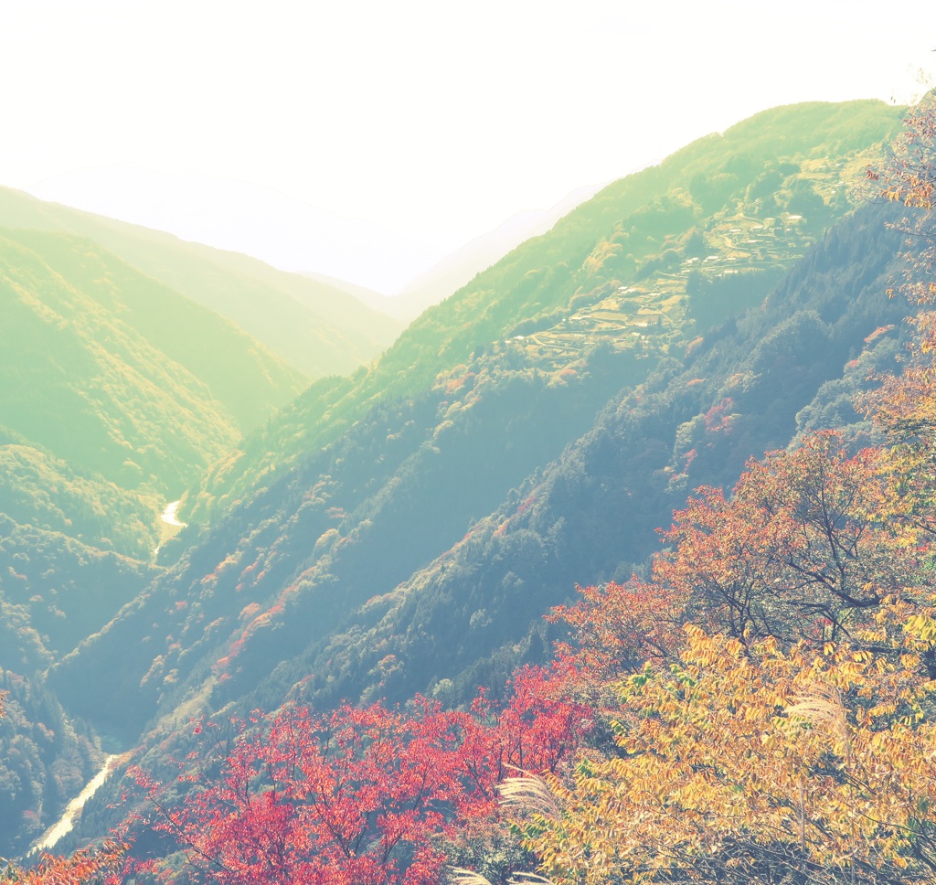 遠山郷2