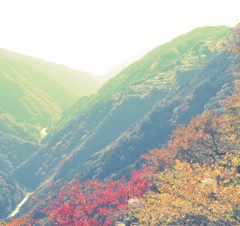 遠山郷2