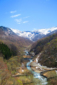 IMG_6826