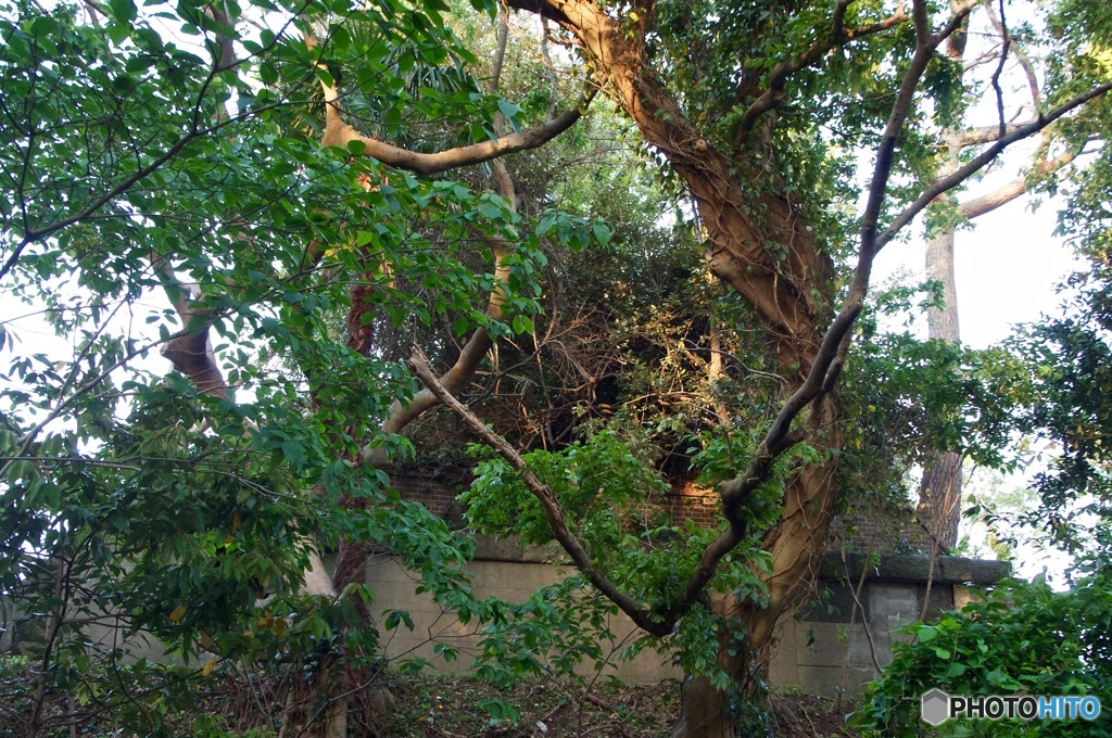 砲台跡