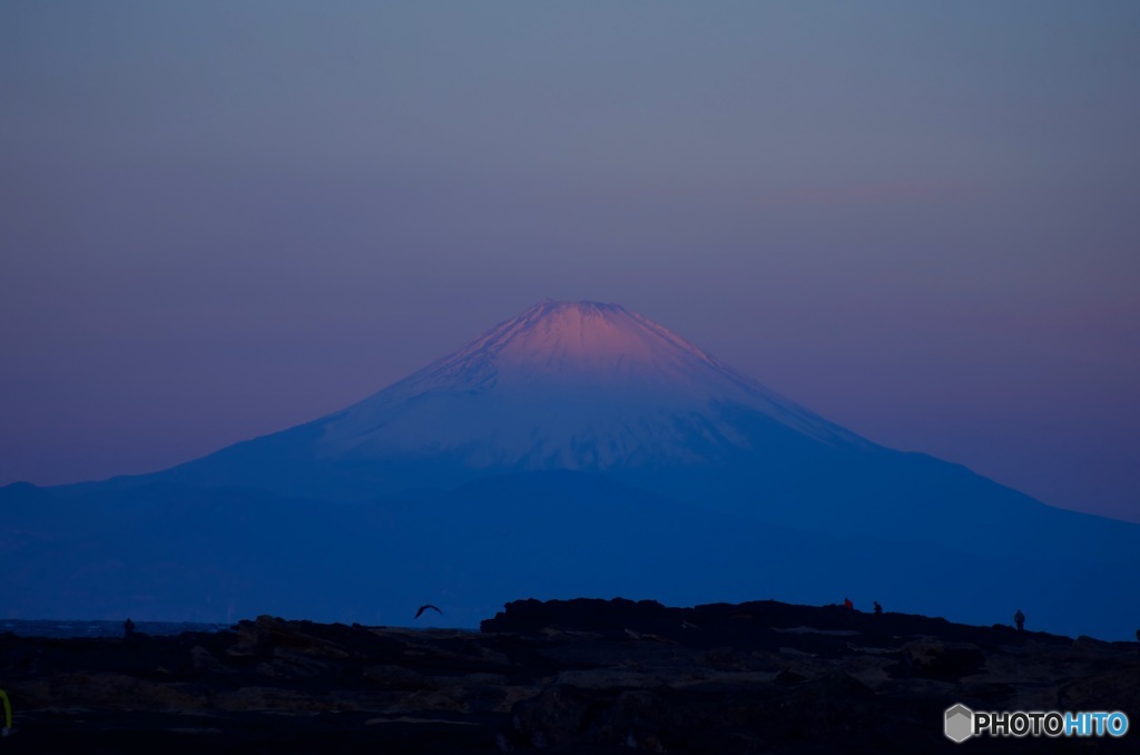 朝は先っぽだけ・・・