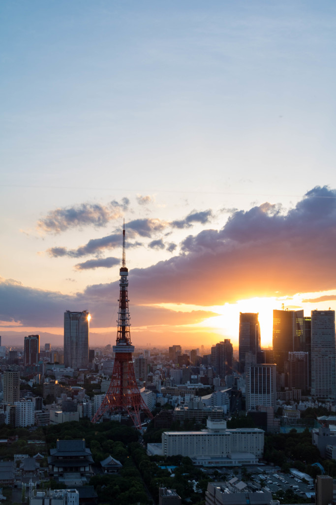 夕日の東京タワー