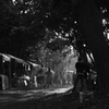 DSC_1056