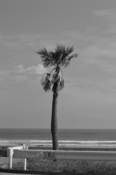 DSC_0634