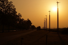 DSC06600