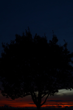DSC_4576