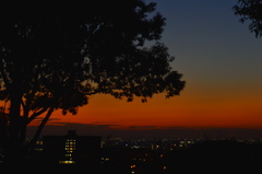 CSC_0205