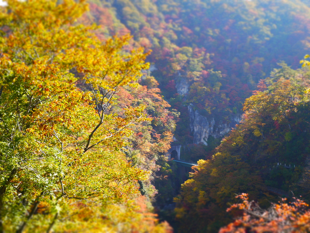 渓谷のトンネル