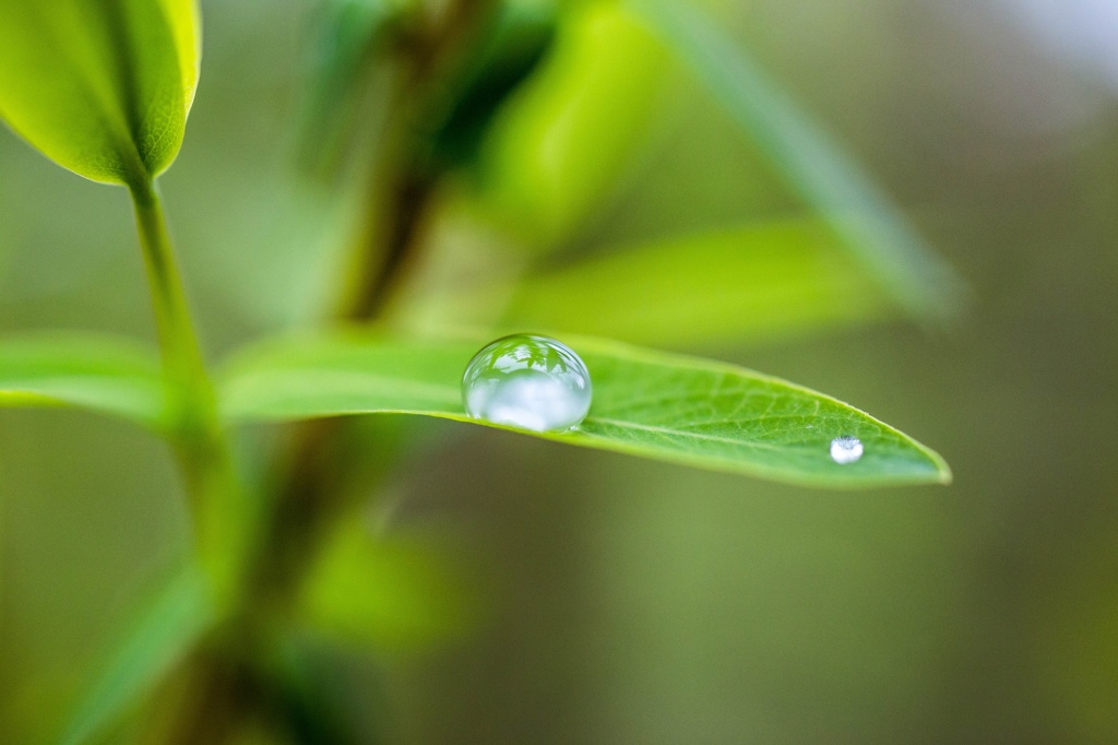 雨上がり