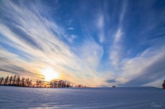 雪原