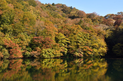 20151018_十二湖