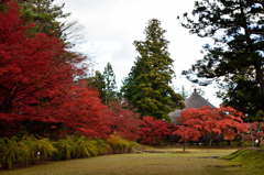 20151103_毛越寺
