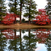 20151103_毛越寺