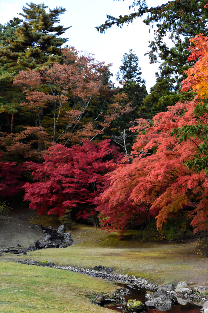 20151103_毛越寺