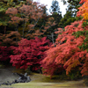 20151103_毛越寺