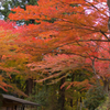 20161106_中尊寺
