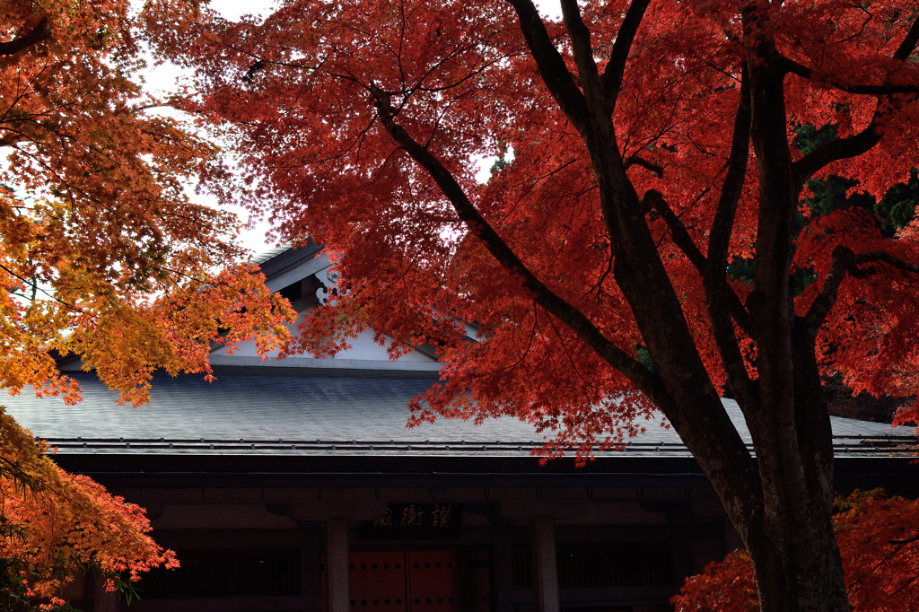 20151103_中尊寺