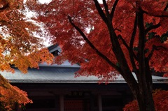 20151103_中尊寺