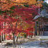 20161106_毛越寺