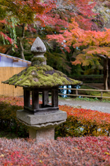 20161106_中尊寺