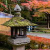 20161106_中尊寺