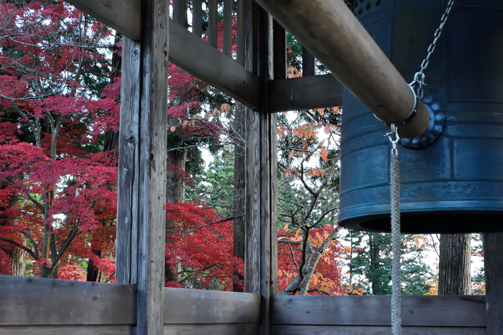 20151103_毛越寺