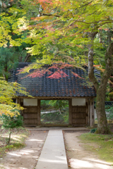 20161106_中尊寺