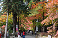 20151103_中尊寺