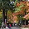 20151103_中尊寺