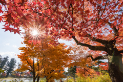 20161106_毛越寺
