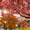 20161106_毛越寺