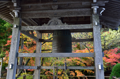 20151103_中尊寺