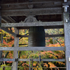 20151103_中尊寺