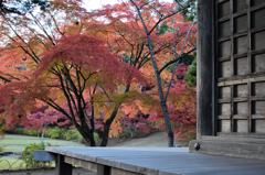 20151103_毛越寺