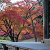 20151103_毛越寺