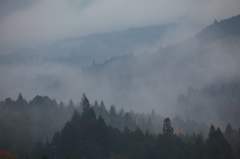 朝霧
