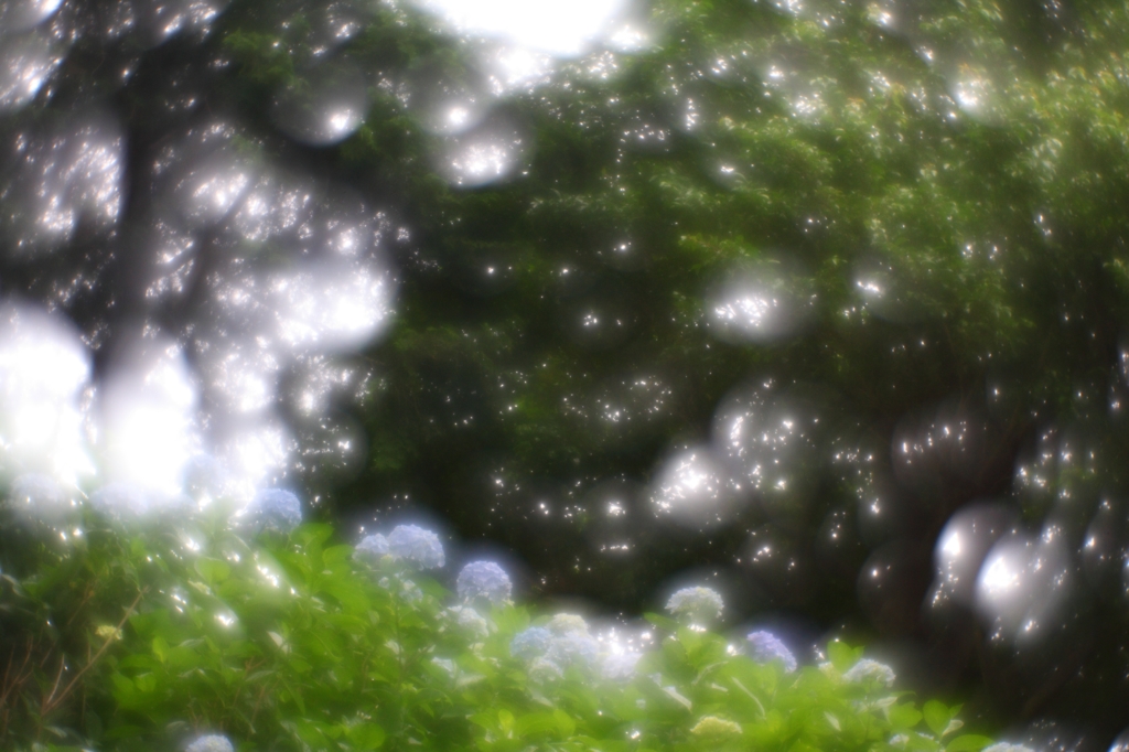 夢