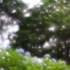 夢