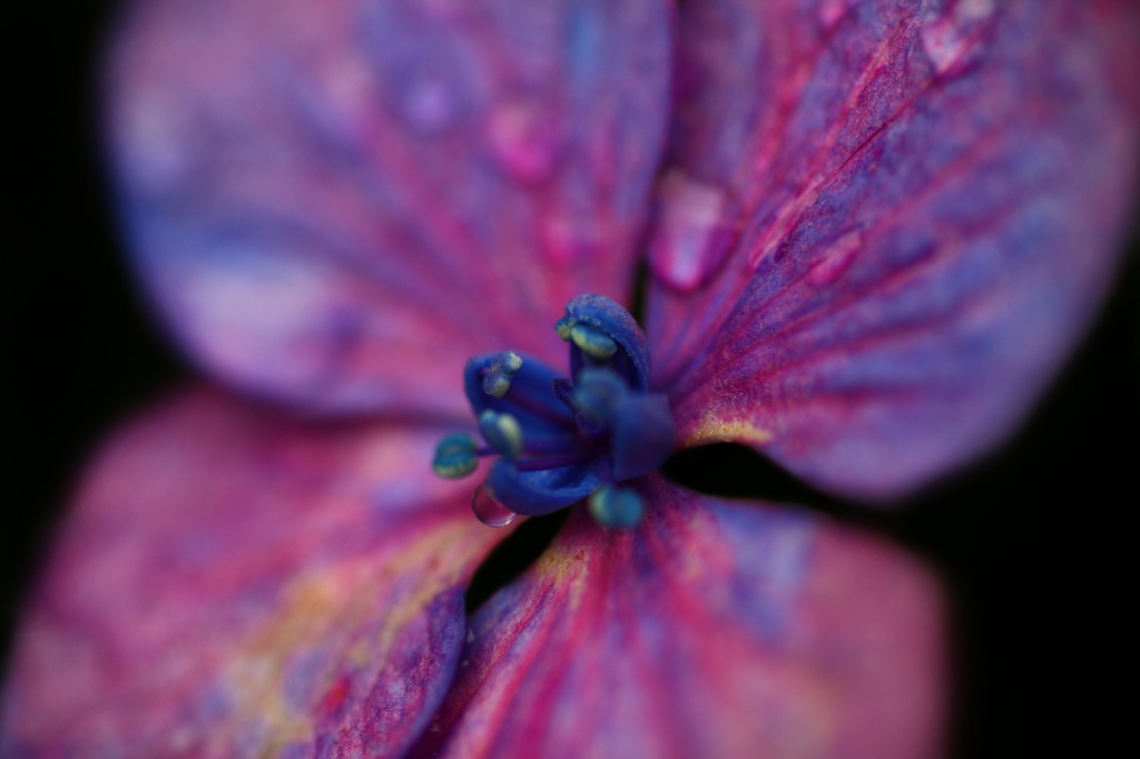 芸術