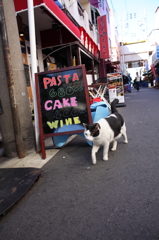 pasta＆cake