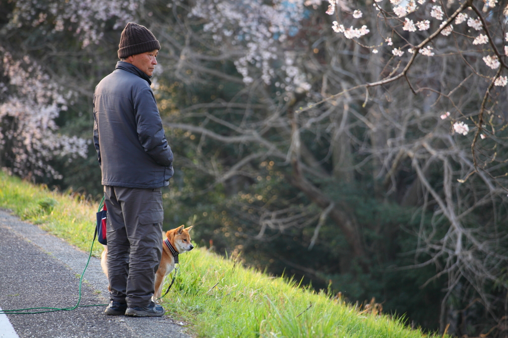犬とおじさん