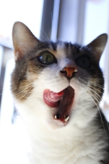 今年もあと数日…