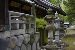 近所の古い神社にて…