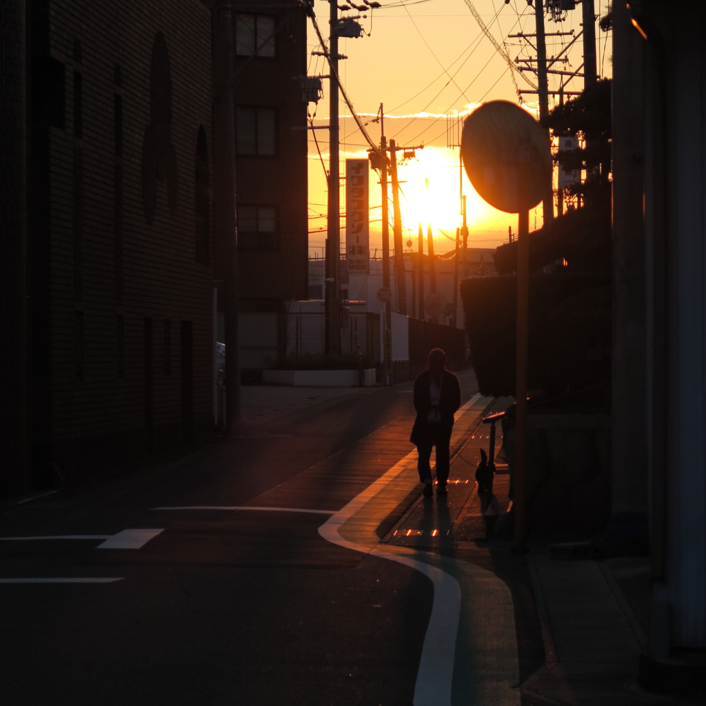 夕方の散歩