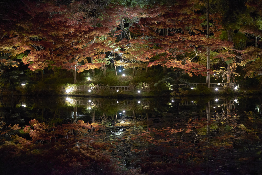 東山動植物園の紅葉