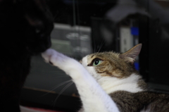 左ストレート