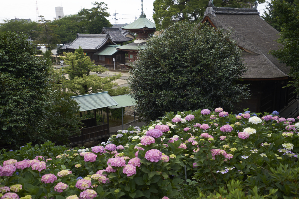 性海寺