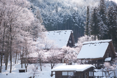 雪化粧した合掌村